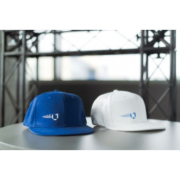 VILNIUS TECH full cap
